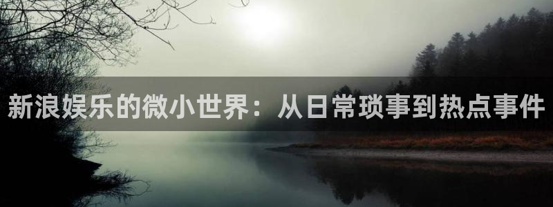 永信贵宾会：新浪娱乐的微小世界：从日常琐事到热点事件