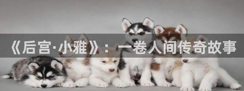 永信贵宾会官网217：《后宫·小雅》：一卷人间传奇故事