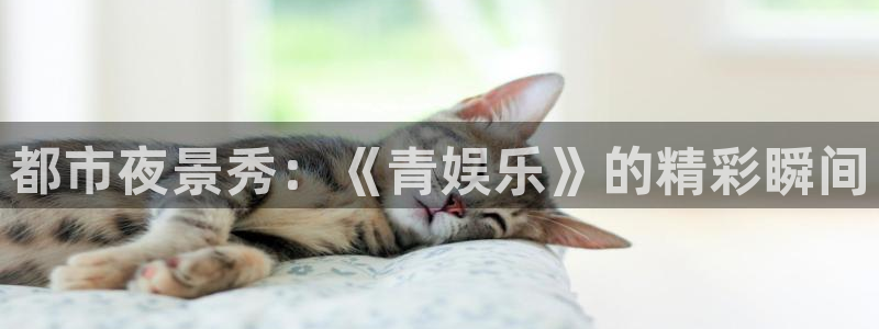 永信贵宾会信誉好不：都市夜景秀：《青娱乐》的精彩瞬间