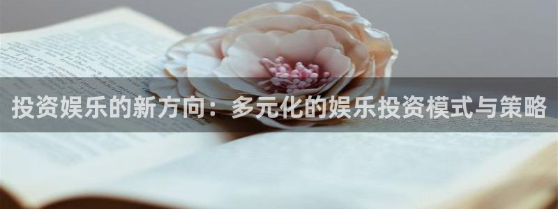 永信贵宾会大厅：投资娱乐的新方向：多元化的娱乐投资模式与策略