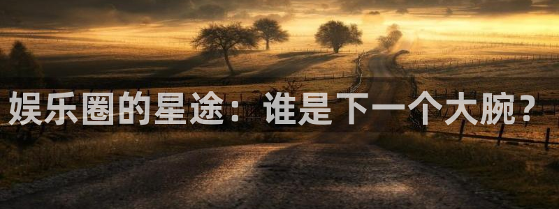 永信贵宾会最新地址：娱乐圈的星途：谁是下一个大腕？