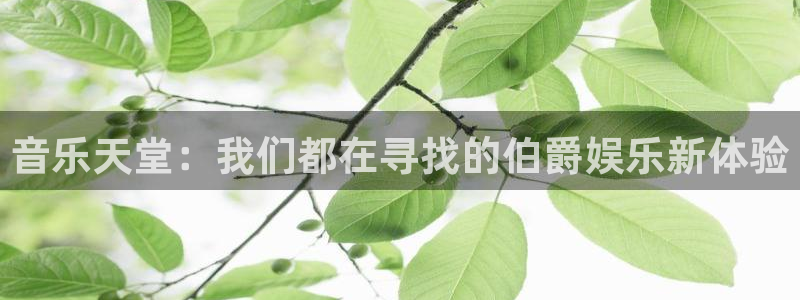 永信贵宾会信誉好不：音乐天堂：我们都在寻找的伯爵娱乐新体验