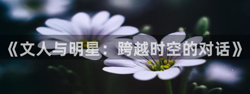永信贵宾会备用网址：《文人与明星：跨越时空的对话》